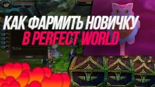 Кото-бизнесс или Как фармить в Perfect World новичку, Виды торговли, все о кото-торговле.