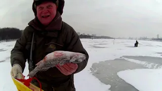 Рыбалка на Химкинском водохранилище 28 01 2020