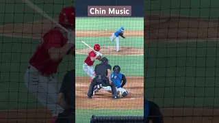 Chin Music-The pitcher throws some chin music-The hitter goes down faster than Tim Anderson #⚾️#Life
