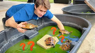 SAVING MY POND CREATURES FROM WINTER WEATHER ! WILL THEY MAKE IT ?!