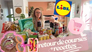 ✨VLOG✨ RETOUR DE COURSES LIDL + RECETTES / PICKLES OIGNONS ROUGE