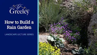 How to Build a Rain Garden