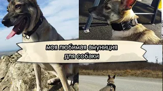 Моя любимая амуниция | SKAT | dogtraining