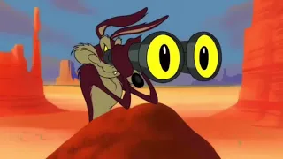 Wile E Coyote And The Road Runner In "TNT Trouble"