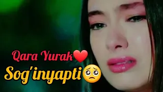 🎧🎶Qara Yurak❤ Sog'inyapti🥺 juda xam dardli😭 qo'shiq🎶🎶🎧