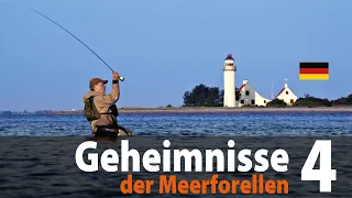 Geheimnisse der Meerforellen 4 Fliegenfischen