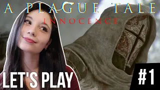 NOAN !? MON DOGGO !! Let's play #1 - A Plague Tale : Innocence