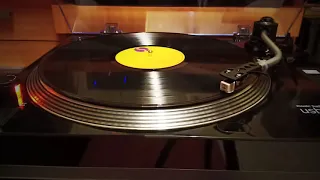 Talking Heads -Remain In Light (Vinyl)