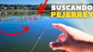 Pesca y Aventura | Pejerrey 2024 | Buen Pique PESCA