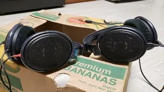 Sennheiser HD650/6XX vs HD600 (Review and Comparison)