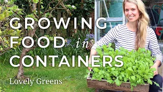 Quick Start Guide to Growing Food in Containers