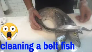 how to clean and cut a belt fish