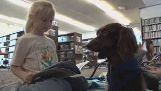 These Therapy Dogs Help Elementary Kids Read Better