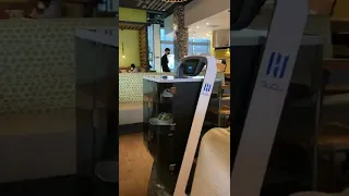 Robot serving - California Pizza Kitchen, California