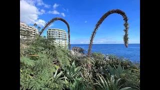 Madeira im Spätherbst