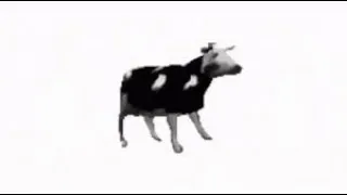 Polish cow at 0.75x speed