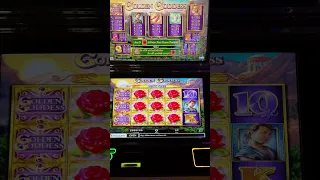 SUPER HARD BONUS TO GET on $40 Golden Goddess!!