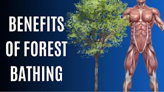 5 Benefits of Forest Bathing