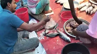 Amazing fish cutting video in fish market | 2kg Katla fish cutting very fast cutting skill - 312