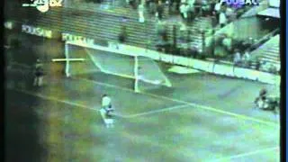 1975 (June 4) Sweden 1-Yugoslavia 2 (EC Qualifier).mpg