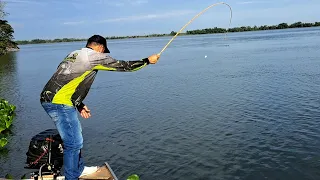 TODOS PEIXE DO RIO ESTAVA EMBAIXO DESSE BARCO, ERA SÓ BATER A ISCA NO FUNDO/PESCARIA DE PIAU 3 PINTA