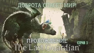 Доброта спасёт мир! Прохождение The Last Guardian