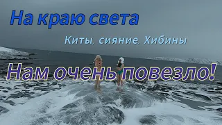 Нам ОЧЕНЬ повезло!!! КИТЫ, СИЯНИЕ, ХИБИНЫ в одном туре