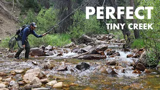 Tiny Creek Fishing Doesn't Get Much Better Than This! (Tenkara Fly Fishing)