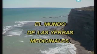 AV-4957 Historias de la Argentina secreta. Capítulo: El mundo de la yerbas medicinales