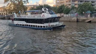 catamaran en tigre