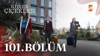 Kırgın Çiçekler 101. Bölüm@atvturkiye