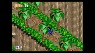 Sonic 3D Blast - Green Grove