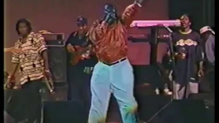 Sting 1998 featuring Buju Banton Anthony B Papa San Cobra Scare Dem Crew and More !