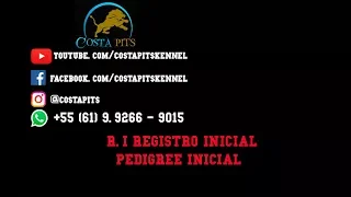 R.I= Registro Inicial ou  Pedigree Inicial Como Registrar um Cachorro sem Pedigree