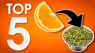 Top 5 Hops To Achieve ORANGE Characteristics In Beer