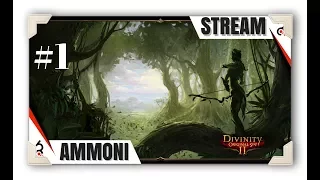 Divinity: Original Sin 2 [Ammoni] Прохождение с озвучкой #1