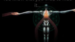 Tool - You Lied (Subtitulado en Español/inglés)[HQ]