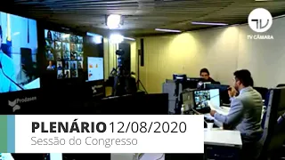 Sessão do Congresso (Senado) para análise de vetos presidenciais - 12/08/20 - 16:00