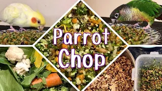 HOW I MAKE MY BIRDS’ CHOP | The healthiest food for parrots