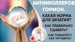 👨‍👩‍👧‍👦АНТИМЮЛЛЕРОВ ГОРМОН. Какая норма для зачатия?  Когда сдавать и как повысить или улучшить?