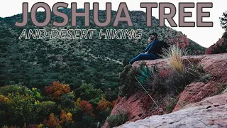 Driving through Joshua Tree and Hiking the Crack in Arizona | Vlog 052