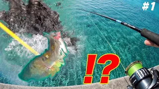 え？…デカすぎ！透明すぎる海に突如現れた巨大なモンスターイカ！！【ゲルマ島大物釣り遠征#1】