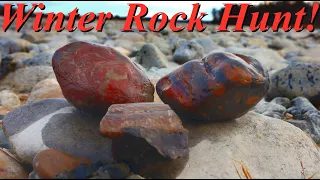 Our First Hunt of 2024! Rockhounding and Cutting Petrified Wood, Jaspers, and Banded Chert!