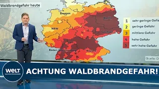 HITZE-WARNUNG: „Die Waldbrandgefahr ist im Osten auf der höchsten Stufe“