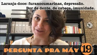 Pergunta pra Máy 19