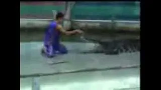 crocodile bites arm