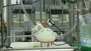 Testing a soft artificial heart