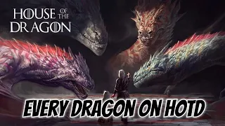 All 17 Dragons on House of the Dragon & Their Riders