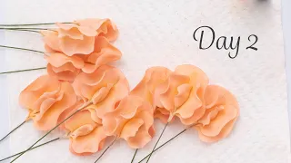 Sweet Pea | Day 2 | 30 Days of Sugar Flowers