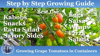 How to Grow Grape Tomatoes from Seed to Harvest